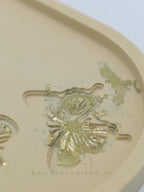 Vlinder tray