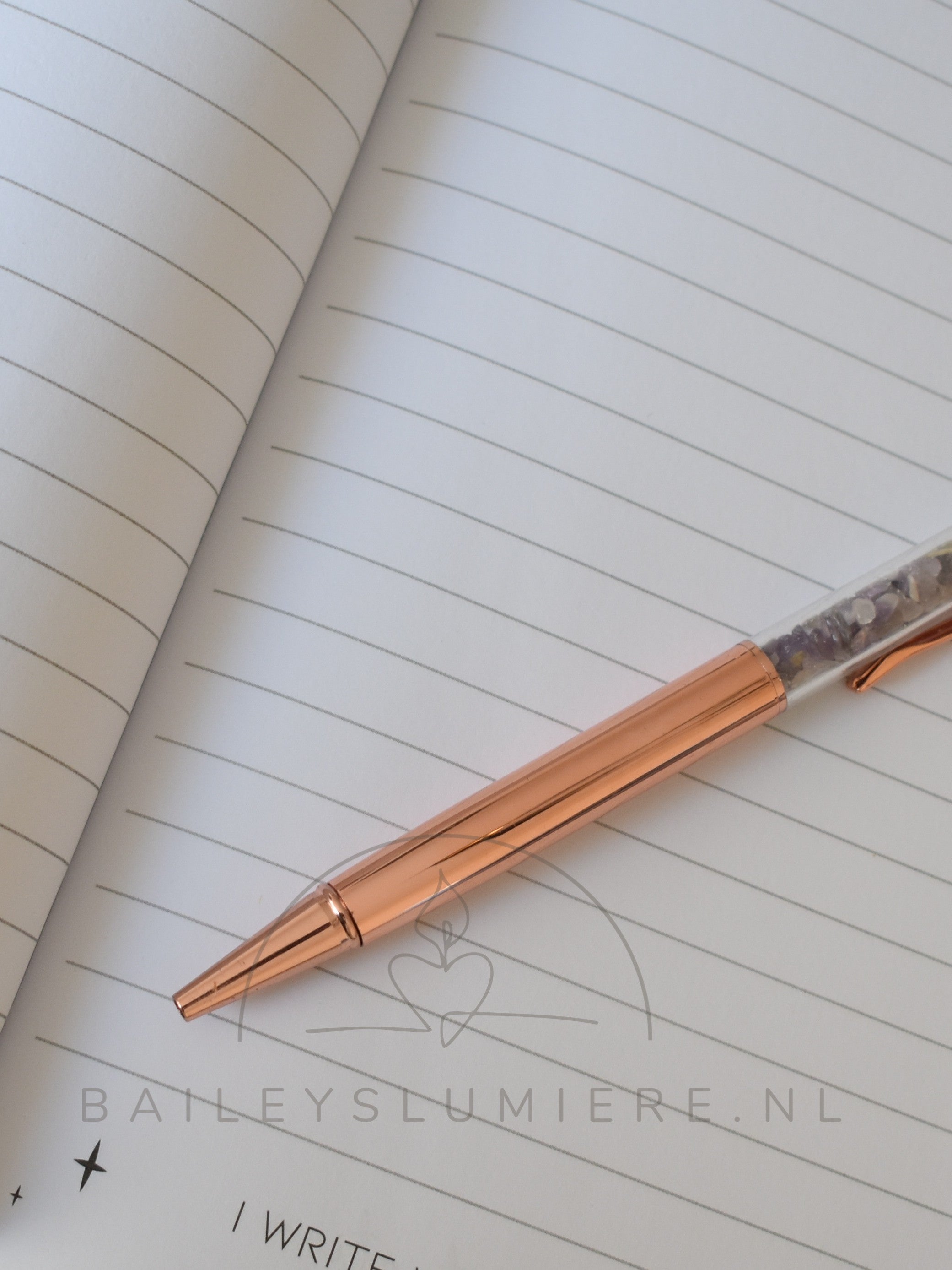 Manifestation Journal