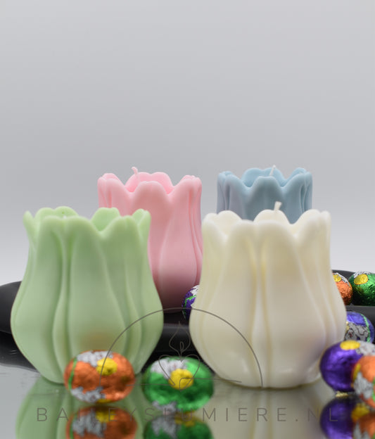 Tulpenbloesem