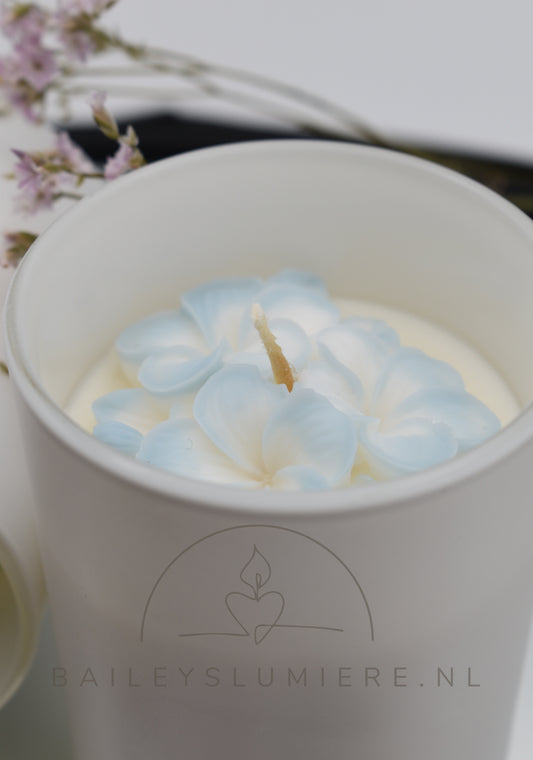 Fleur de Magnolia