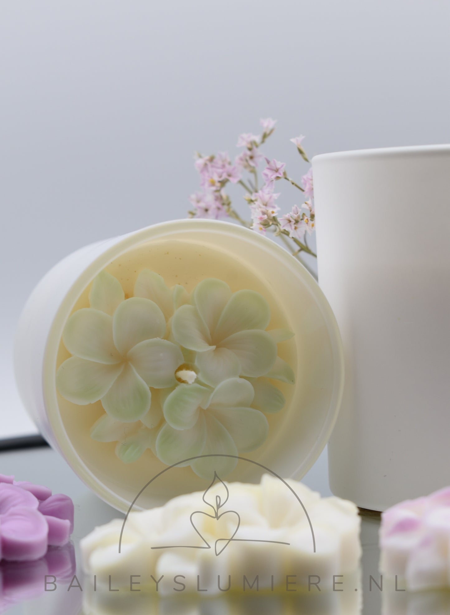 Fleur de Magnolia