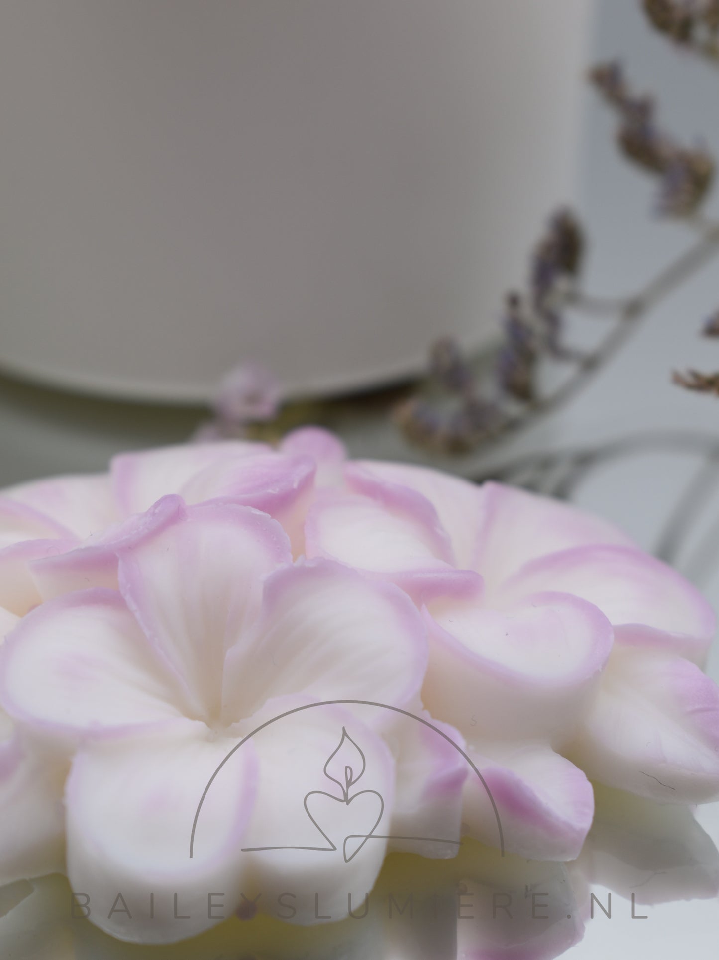 Fleur de Magnolia