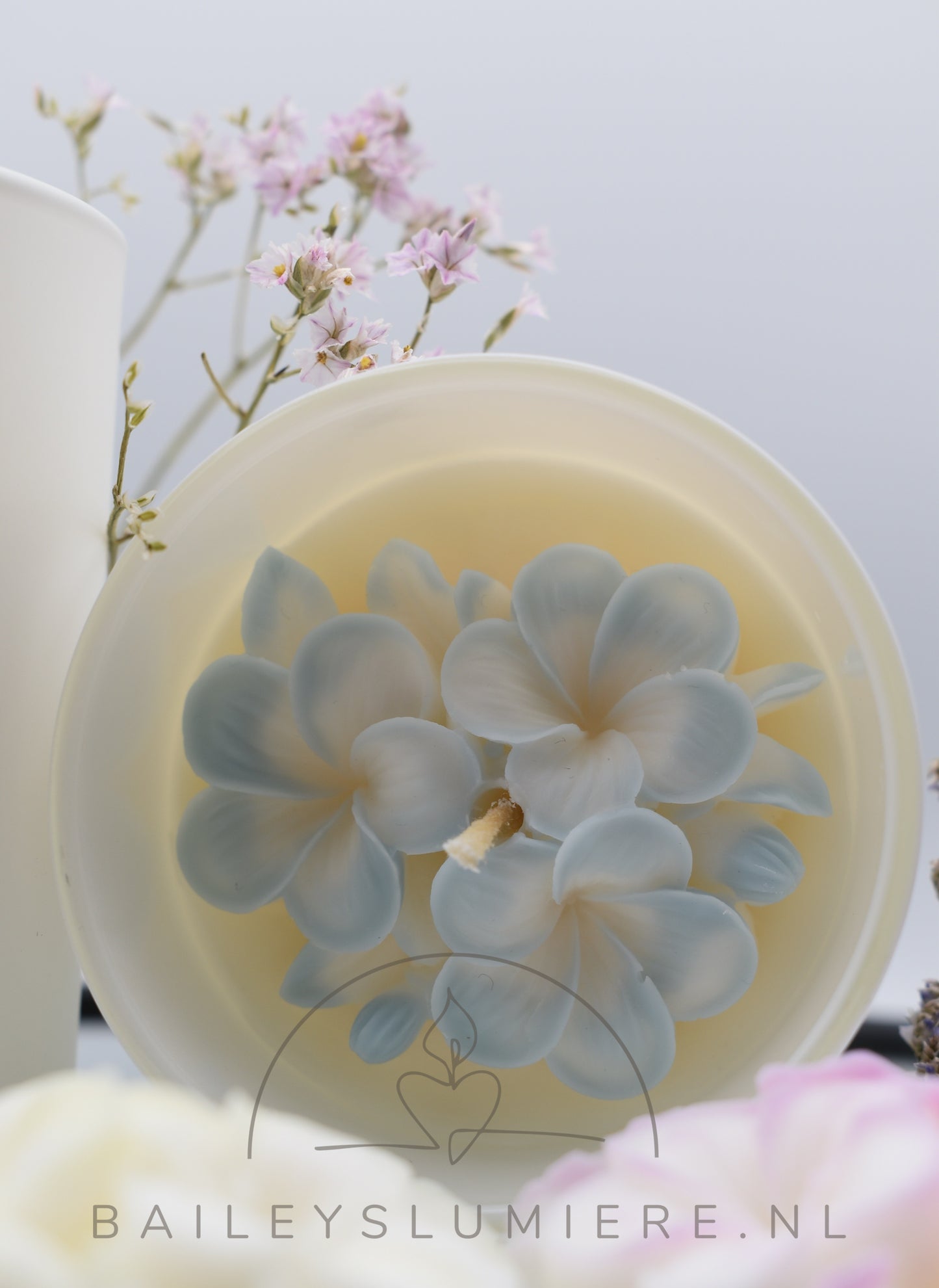 Fleur de Magnolia