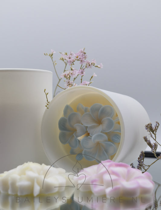 Fleur de Magnolia