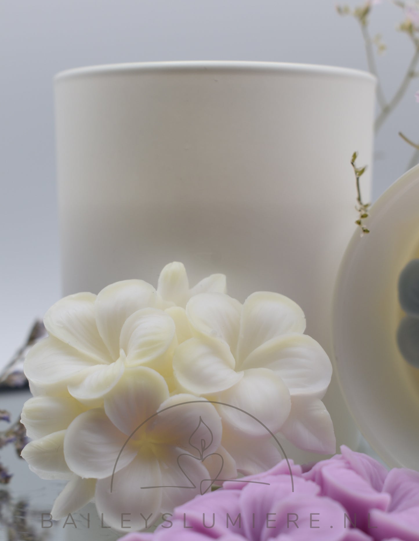 Fleur de Magnolia