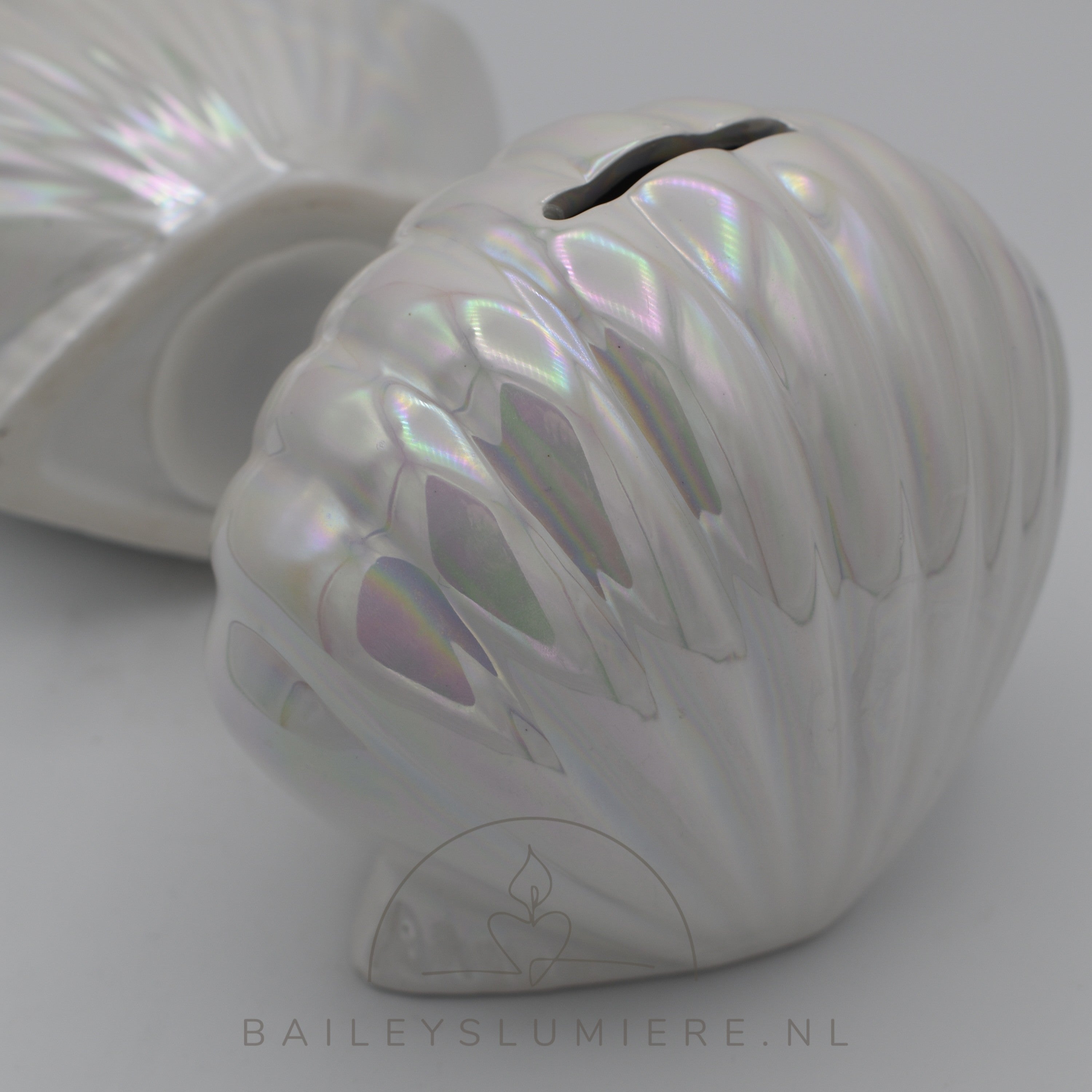 Zeemeerminschelp spaarpot